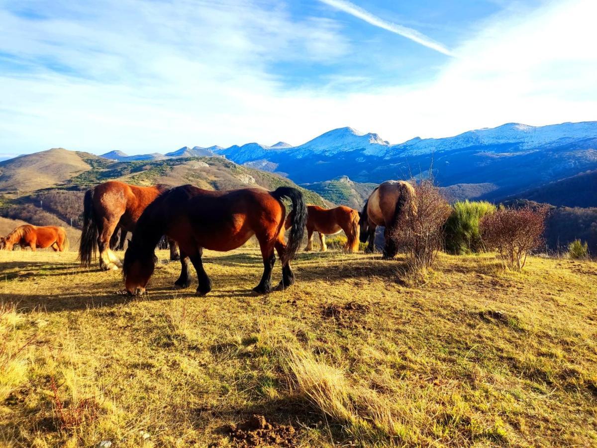 Appartement La Casita De La Montana à Alba de los Cardaños Extérieur photo